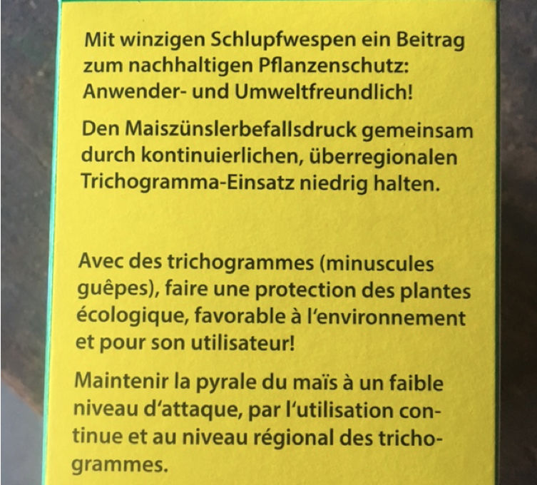 Nur der regionale Einsatz von Schlupfwespen verspricht ausreichend Erfolg. Die Landwirte müssen sich idealerweise zusammentun.